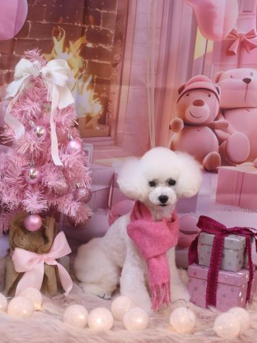 20241223ゆわちゃん